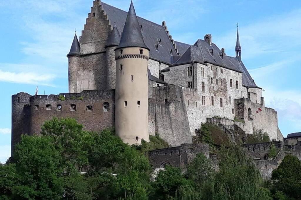 The Vianden Cottage - Charming Cottage In The Forest المظهر الخارجي الصورة