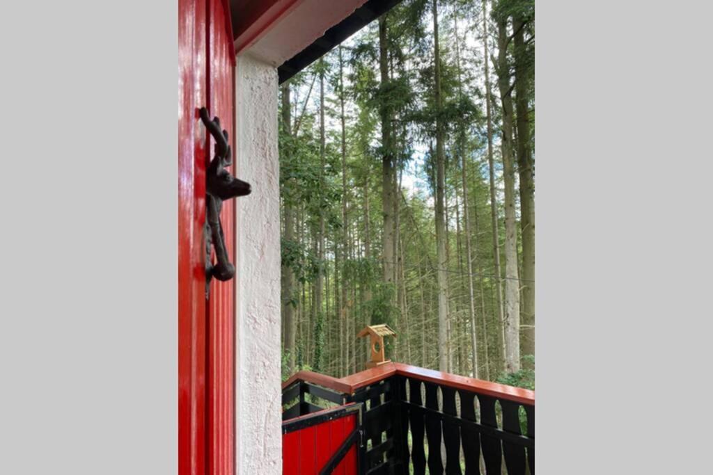 The Vianden Cottage - Charming Cottage In The Forest المظهر الخارجي الصورة